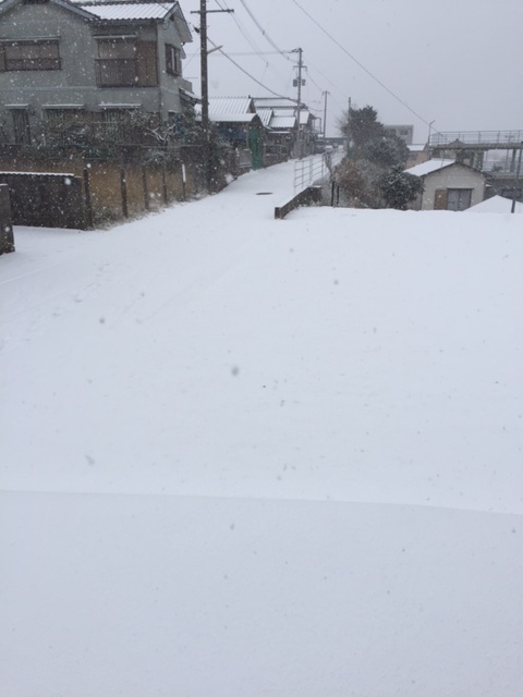 雪 雪 雪 宗像の耐震住宅なら福岡テクノス株式会社 宗像の耐震住宅なら福岡テクノス株式会社